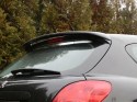 Peugeot_207_Rear_4f9527634f5f0.jpg